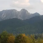 Apartament Sobiczkowa No 2 Zakopane קושצ'ליסקו
